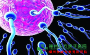 弱精症原因