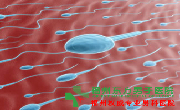 弱精症治疗