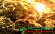 无精症症状