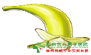 包皮溃烂原因?