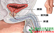 睾丸痒是怎么回事