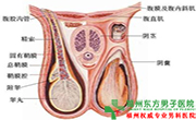 睾丸肿块原因有哪些