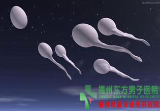 精索静脉曲张食补方法有哪些呢