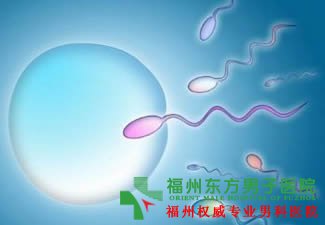 如何提高精子活力?